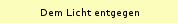 Dem Licht entgegen 